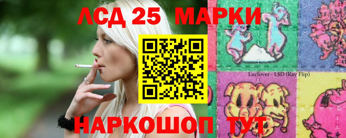 блэк спрут как войти  Лсд 25 экстази ecstasy  ЛСД экстази ecstasy  Вход с VPN  Батайск 