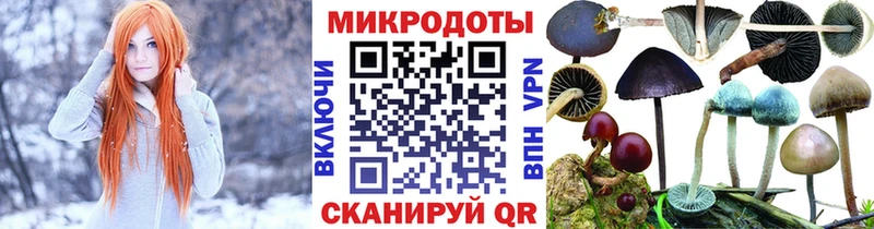 где купить наркоту  Батайск  Псилоцибиновые грибы Psilocybine cubensis 
