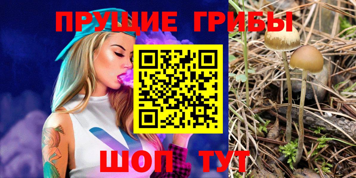 Батайск  Галлюциногенные грибы Psilocybe  Галлюциногенные грибы Magic Shrooms  Вход с VPN 